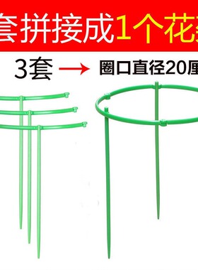 植物支撑杆园艺支架花架爬藤支架室内阳台户外绿萝蟹爪兰固定支架