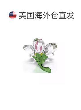 1h可退 【美国直邮】swarovski  装饰品施华洛世奇水晶礼物