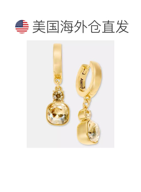美国直邮dkny/唐可娜儿 耳饰 【付后1h可退】