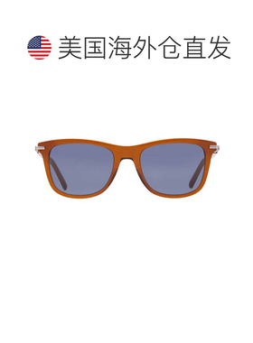 自营salvatore ferragamoFerragamo Blue Square男士太阳镜SF2028