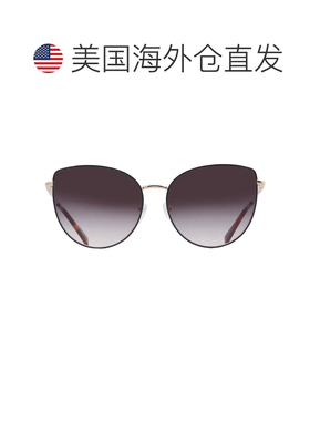 自营Longchamp Purple Gradient Cat Eye Ladies Sunglasses LO15