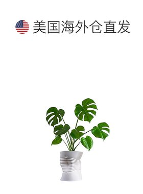 jonathan yBrent MidCentury 现代室内压碎罐环保 3D 打印花盆带