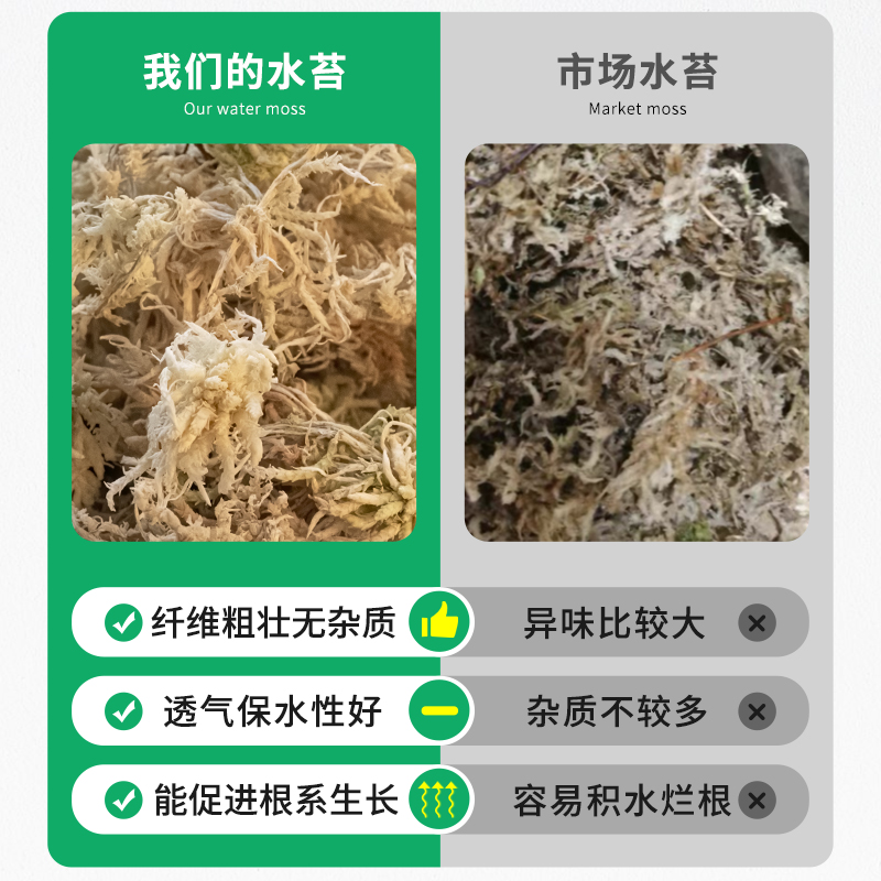 精筛水苔无杂质智利干水苔蝴蝶兰花专用营养土苔藓石斛食虫植物 - 图0