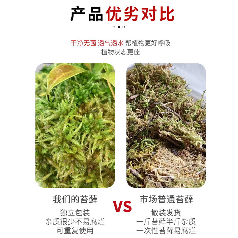 干苔藓水苔纯天然青苔兰花蝴蝶兰石斛种植专用营养土爬宠乌龟垫材-图2