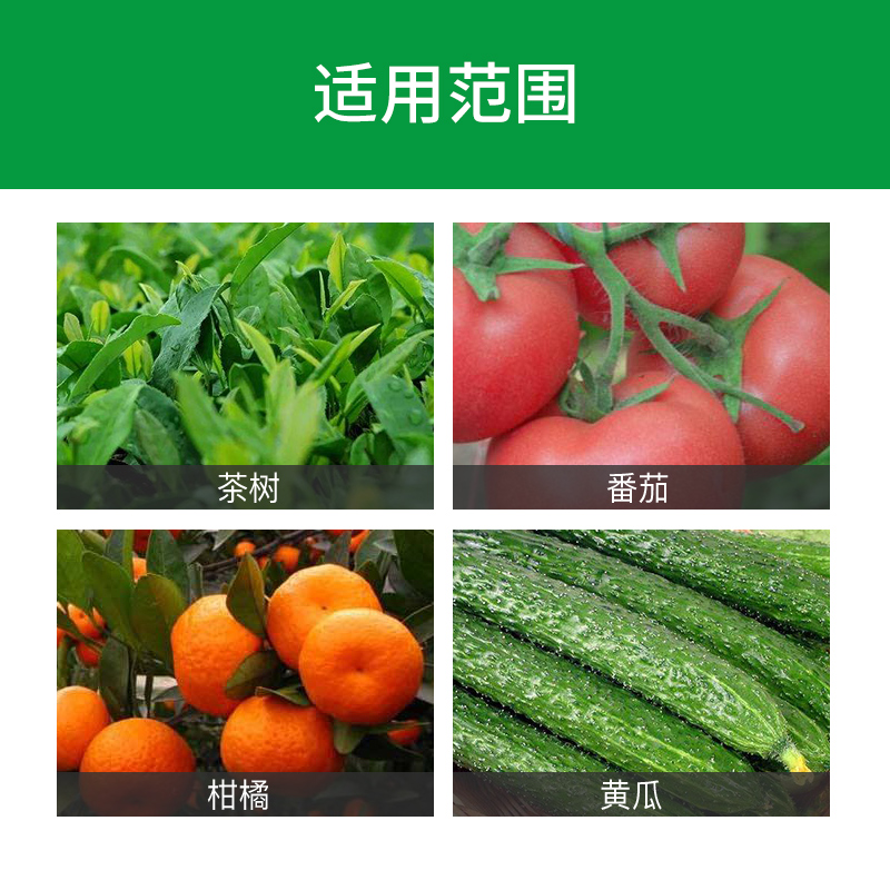 杜邦可杀得三千叁千3000进口杀菌剂蔬菜果树野火溃疡角斑病细菌病 - 图1