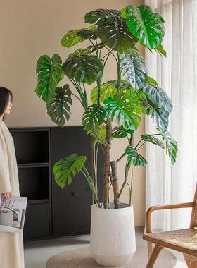 大型怪物树模拟绿色植物盆栽经典装饰怪物地板到天花板的窗户景观
