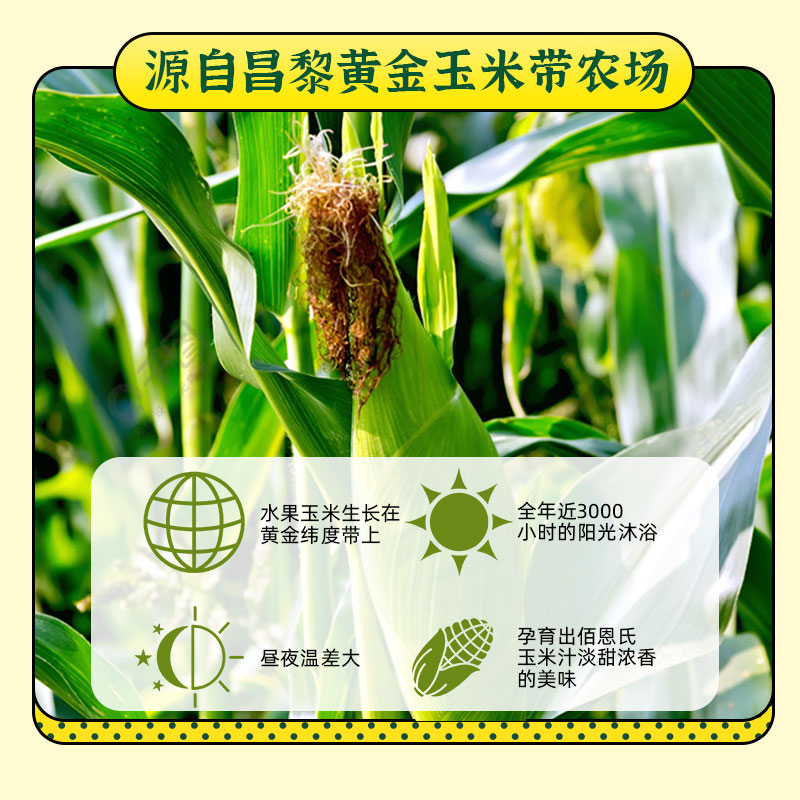 佰恩氏鲜榨玉米汁330ml*6瓶谷物饮料整箱膳食纤维果蔬汁0脂肪饮品-第3张图片-提都小院