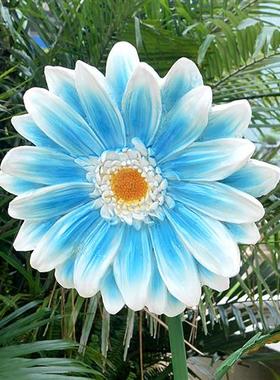 仿真植物花朵雕塑户外景观花园林装饰玻璃钢向日葵百合玫瑰花摆件