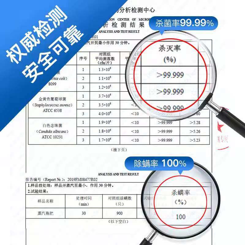  德布森蒸汽拖把