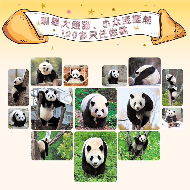 今日宜“吸”熊猫 2025年熊猫日历大礼盒 每天都能吸熊猫 集结全国13个基地129只熊猫 顶流熊猫小众熊猫一应俱全台历记事本