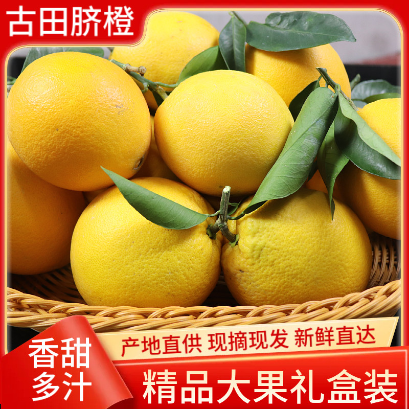 正宗福建古田三保脐橙当季孕妇新鲜水果橙子现摘精品10斤礼盒装,淘宝优惠券,粉丝福利购,淘宝优惠卷