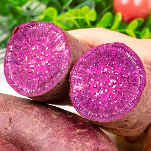 山东香糯紫罗兰紫薯新鲜细腻特级农家新鲜小地瓜自种红薯9斤