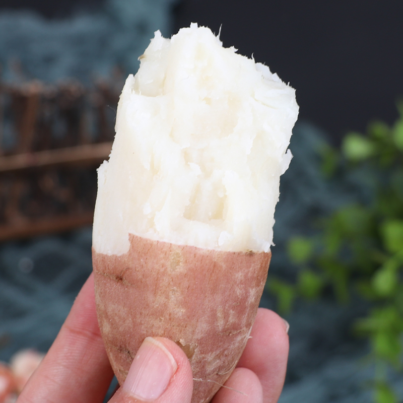 山东哈密冰糖薯新鲜白薯9斤老品种红薯白心超甜沙地板栗蜜薯地瓜