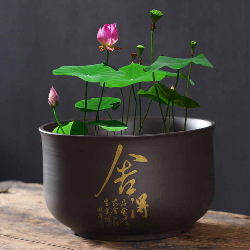 无土栽培花盆 新人首单立减十元 21年11月 淘宝海外 无土栽培花盆 新人首单立减十元 21年11月 淘宝海外