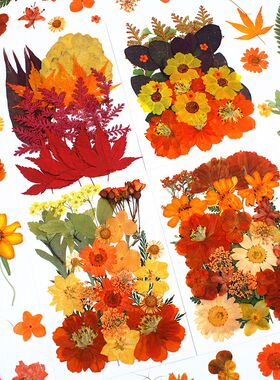 橙色干花压花DIY材料包