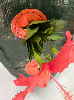 跨境供应壁挂式草莓种植袋