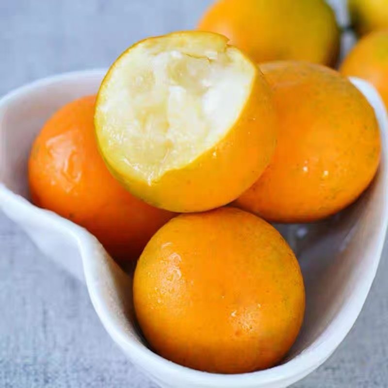 广西阳朔脆蜜金桔3斤新鲜橘子大果 水果当季纯甜蜜小金柑孕妇零食,淘宝优惠券,粉丝福利购,淘宝优惠卷