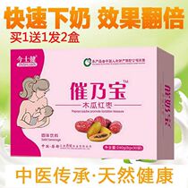 Todays Bodybuilding Papaya Red Date Oxymoron Breast Milk Water Nutrition