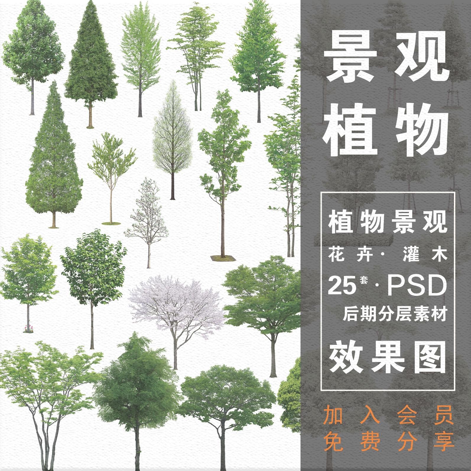 园林景观植物psd花丛乔木灌木花卉岩石剖立面图效果图ps设计素材 - 图2