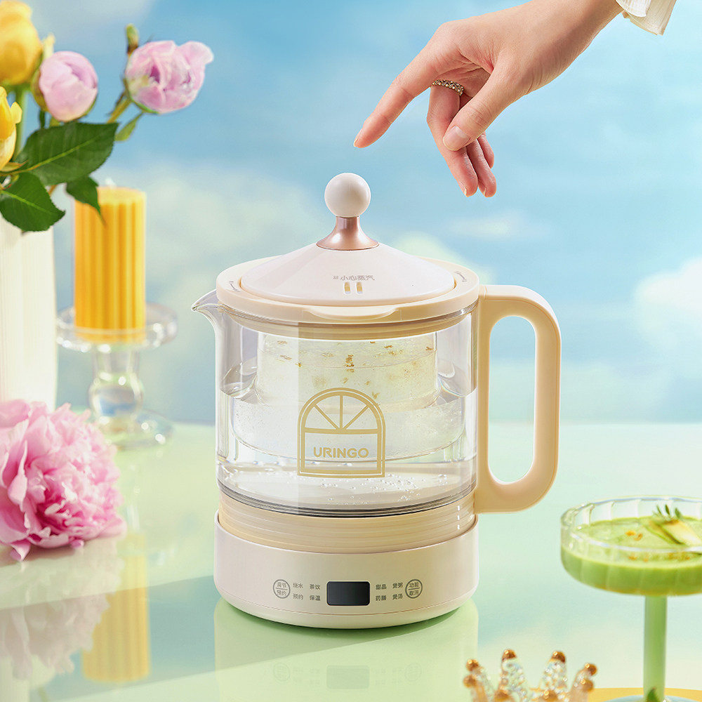 七彩叮当家用多功能养生炖盅养生壶 七彩叮当养生壶/煎药壶