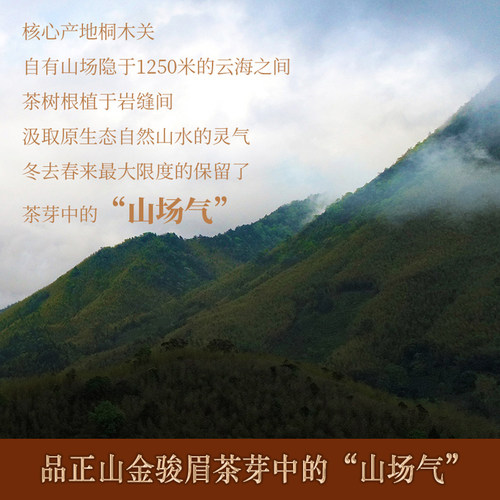 桐木关金骏眉红茶茶叶花香浓香型武夷荒山野生野茶罐装盒装送礼 - 图1