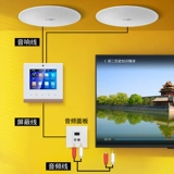 Умный музыкальный контроллер, колонки, x10, 10 дюймов