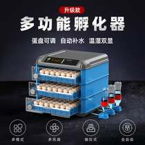 Wei Zhen Incubators Small Home Hatching Machine Fully Automatic Smart Mini Hatching Box Chickens Duck Goose Small Bird Hatching Eggs