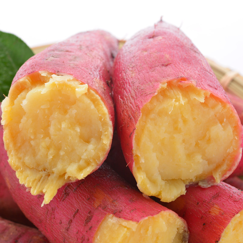 现发沙地新鲜农家自种甜地瓜板栗 怡萱水果番薯