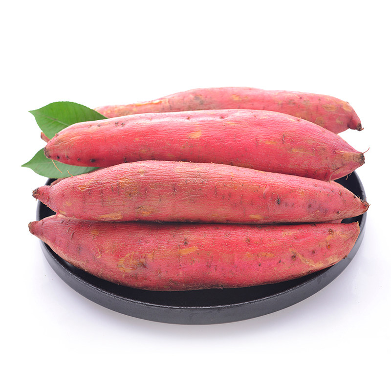 现发沙地新鲜农家自种甜地瓜板栗 怡萱水果番薯