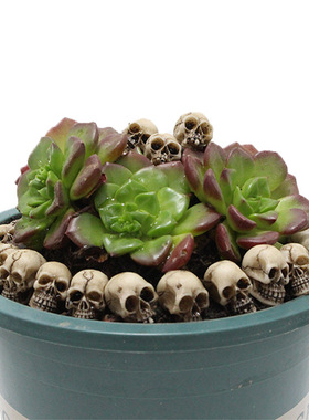 亚马逊新品树脂骷髅套装万圣节装饰鬼节氛围摆件花盆铺面石骷髅