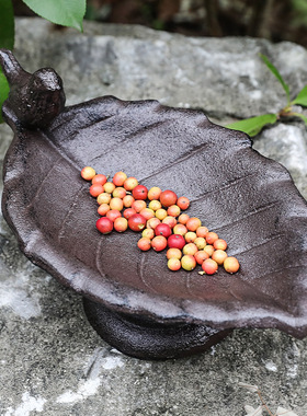 跨境欧式复古铸铁树叶鸟食盆摆件家居花园阳台庭院装饰园林别墅