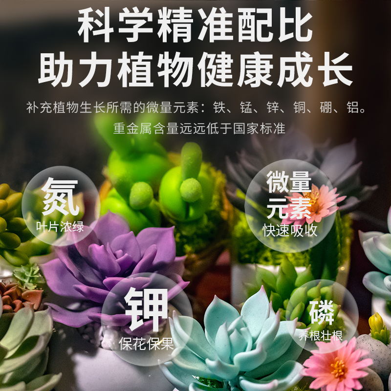 花多多10号官方旗舰店绿萝龟背竹发财树专用肥料水溶肥花朵朵十号 - 图3