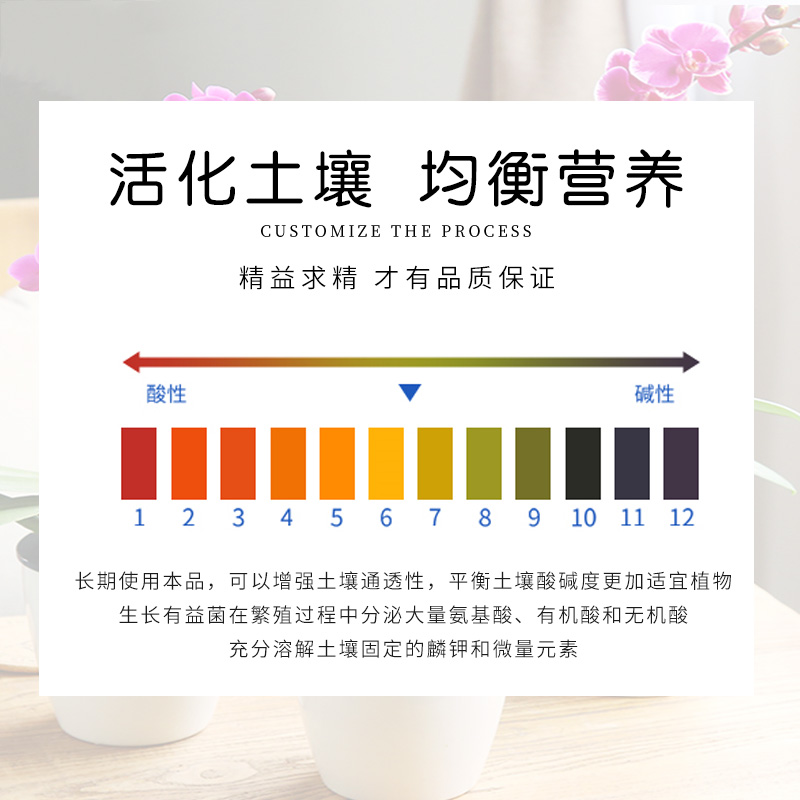兰灵王兰花专用营养液肥料兰陵王君子兰蝴蝶兰石斛兰科促花活化剂-图2