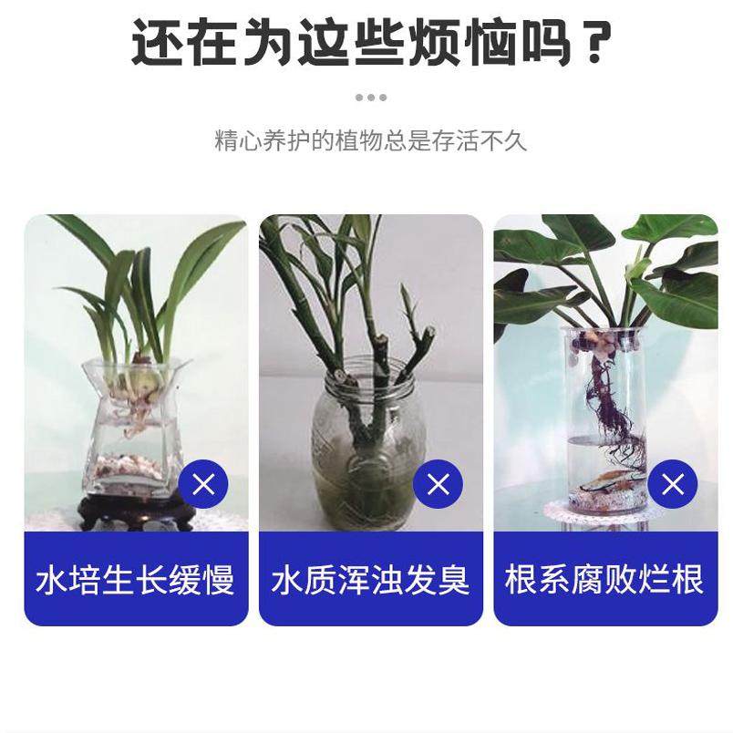 水培植物净水片鲜花花卉保鲜剂不臭水碗莲专用杀菌消毒片净化水质,淘宝优惠券,粉丝福利购,淘宝优惠卷