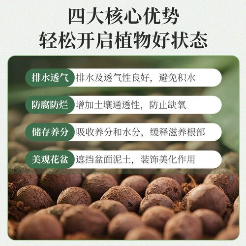 陶粒垫底蝴蝶兰专用营养土养花专用鱼缸水培透气回填花盆铺面石 - 图2