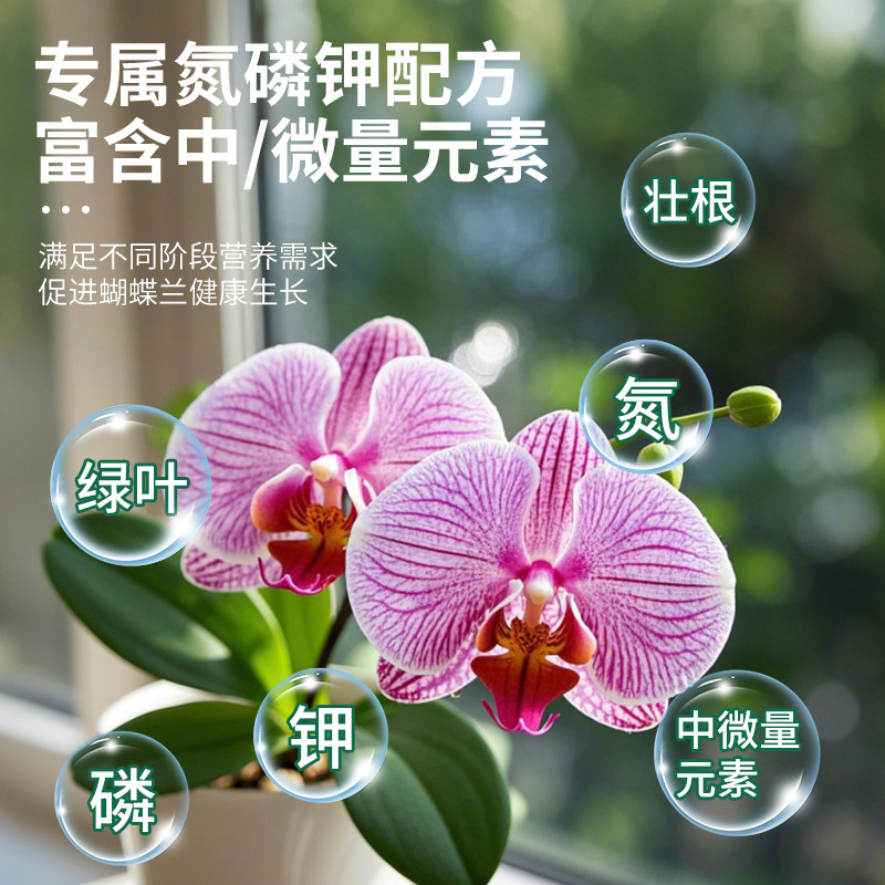 蝴蝶兰专用营养液肥料兰花促开花分芽生根壮苗有机液体肥营养肥,淘宝优惠券,粉丝福利购,淘宝优惠卷