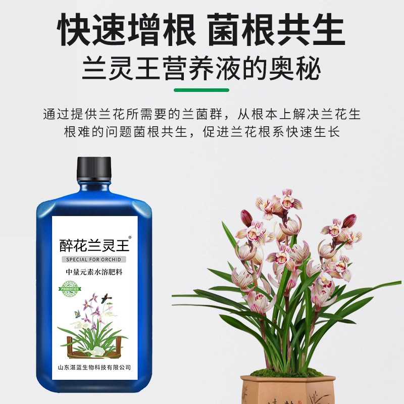 兰灵王兰花专用营养液肥料兰陵王君子兰蝴蝶兰石斛兰科促花活化剂,淘宝优惠券,粉丝福利购,淘宝优惠卷
