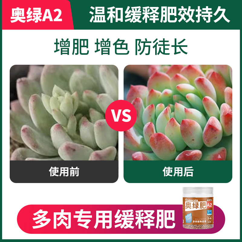 奥绿肥A2多肉缓释肥专为多肉营养定制复合控释肥多肉专用增肥增色 - 图0