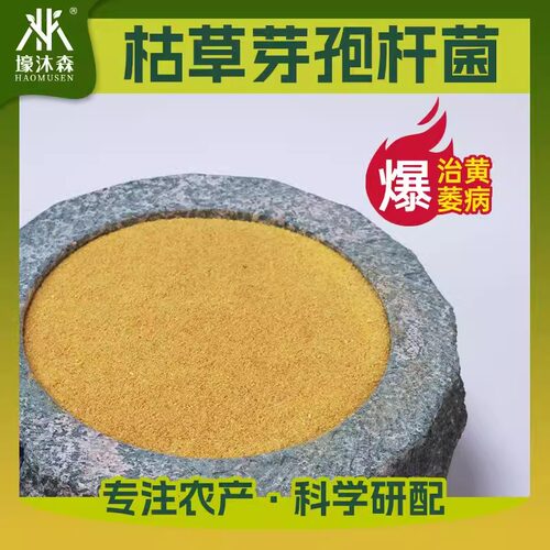 枯草芽孢杆菌有机蔬菜土壤改良菌农用防治病害肥种植单一微生物菌 - 图3