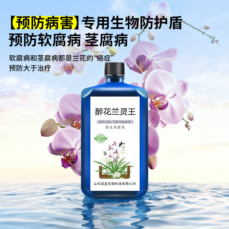 兰灵王兰花专用促花活化剂营养液肥料兰灵王君子兰蝴蝶兰石斛兰科,淘宝优惠券,粉丝福利购,淘宝优惠卷