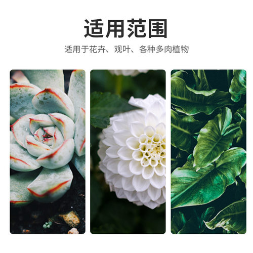 黄金软麦饭石颗粒多肉专用颗粒土通用铺面石种植泥炭土壤养花绿植 - 图3