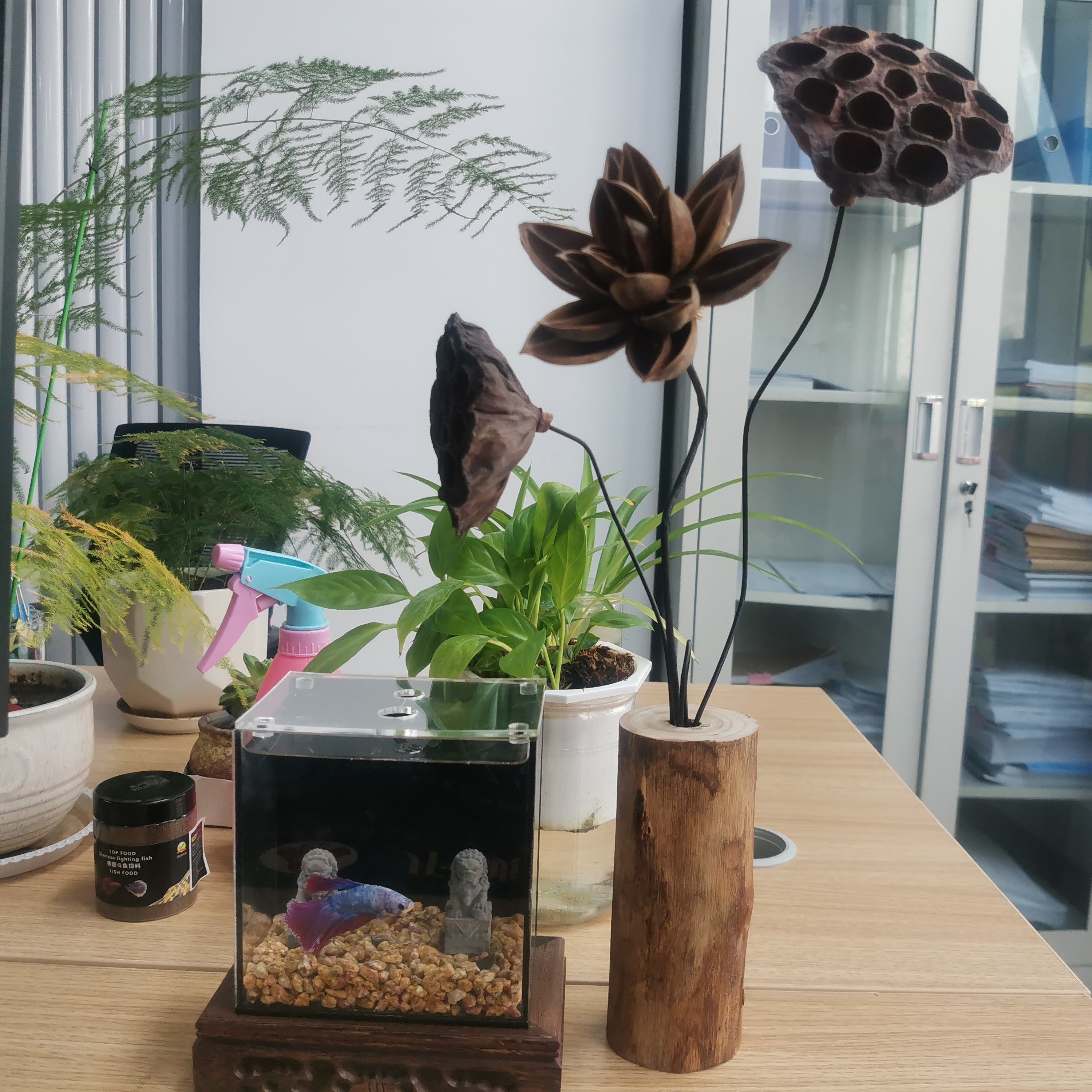 复古自然枯木实木禅意干花真花莲蓬干花荷花风干装饰中式摆件客厅,淘宝优惠券,粉丝福利购,淘宝优惠卷