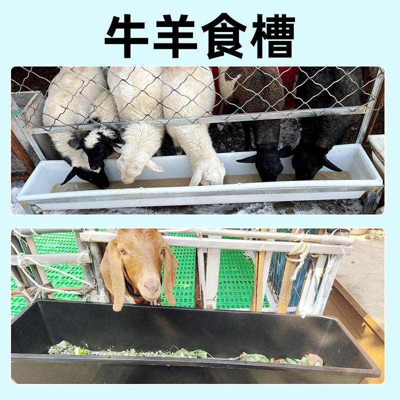 养龟专用箱超极大号养龟盆养鱼阳台种花种菜收纳箱羊食槽养殖水 - 图3