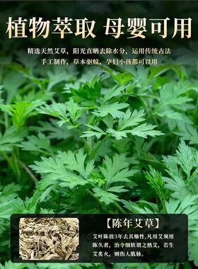 12小时24纯艾草大盘香天然室内驱蚊香薰厕所驱蚊卫生间持久除臭