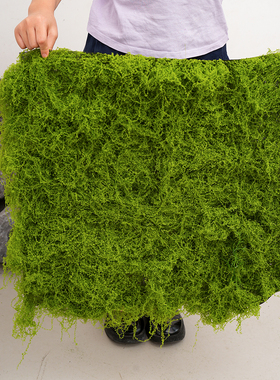 仿真苔藓仿生假青苔草坪植物墙装饰造景室内户外绿植盆栽铺面草皮