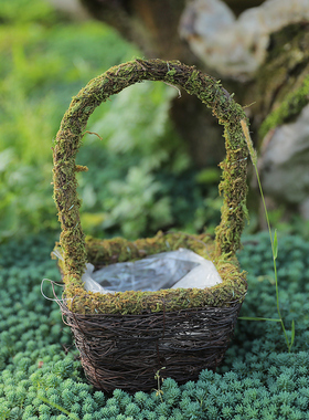 房子花篮幼儿园森系植物角摆件