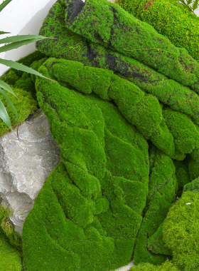 仿真苔藓草皮假苔藓球微景观盆景造景加厚人造苔藓草坪庭院阳台