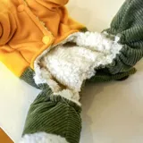 Собака четвероноская одежда одежда для динозавров