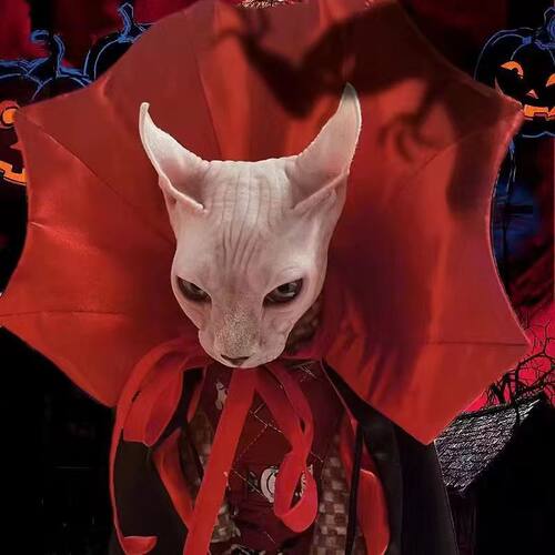 宠物万圣节披风 猫咪狗狗血族王变装衣服 贵宾比熊雪纳瑞博美斗篷 - 图0