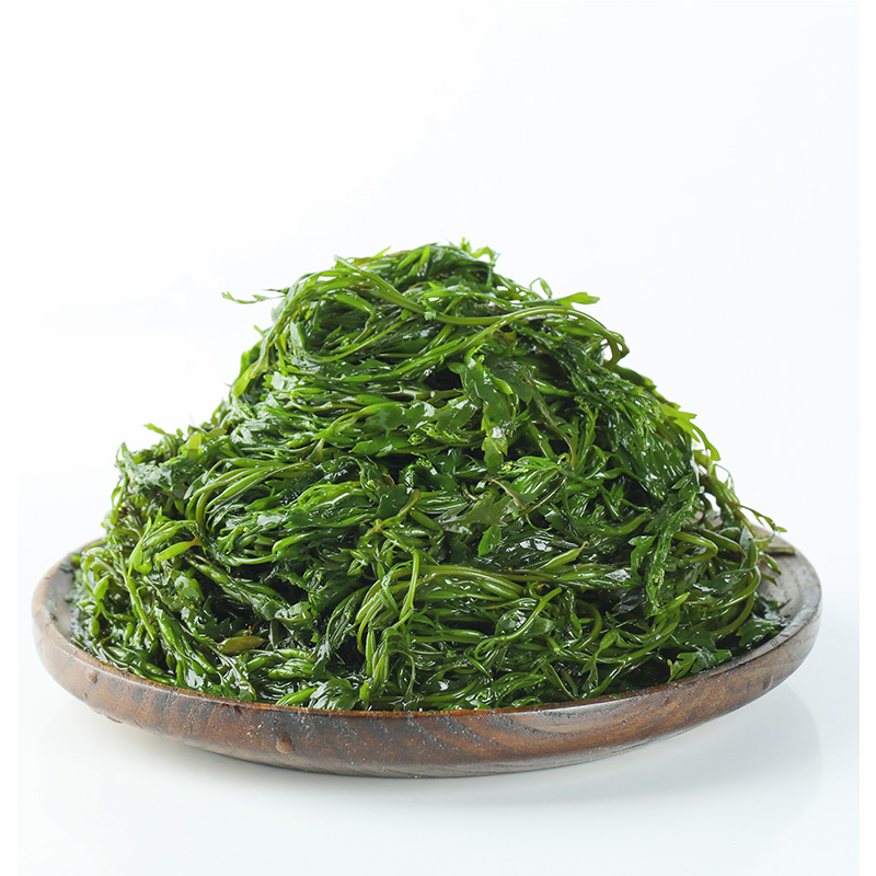 马尾藻长寿菜新鲜海草鞭炮笋海带丝嫩苗海藻菜羊栖菜火锅凉拌菜 - 图0